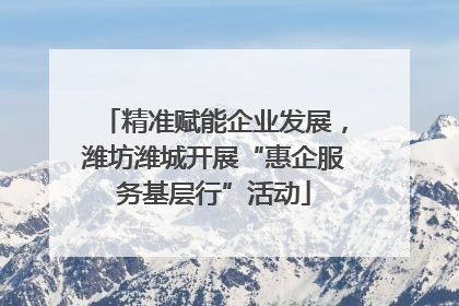 精准赋能企业发展，潍坊潍城开展“惠企服务基层行”活动