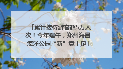 累计接待游客超5万人次！今年端午，郑州海昌海洋公园“新”意十足