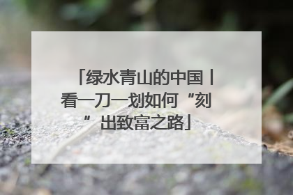 绿水青山的中国丨看一刀一划如何“刻”出致富之路
