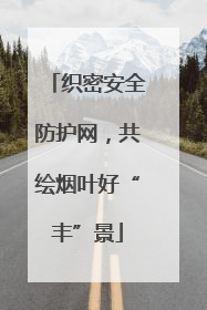 织密安全防护网，共绘烟叶好“丰”景