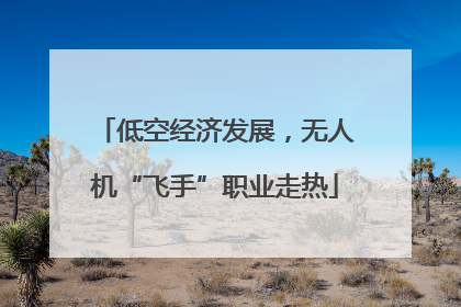 低空经济发展，无人机“飞手”职业走热