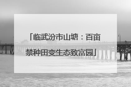 临武汾市山塘：百亩禁种田变生态致富园