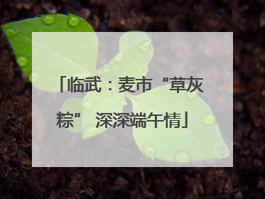 临武：麦市“草灰粽” 深深端午情