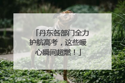 丹东各部门全力护航高考，这些暖心瞬间超燃！