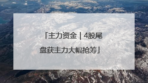 主力资金｜4股尾盘获主力大幅抢筹