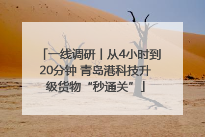 一线调研丨从4小时到20分钟 青岛港科技升级货物“秒通关”