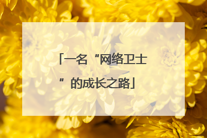 一名“网络卫士”的成长之路