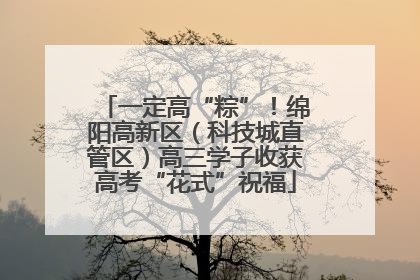 一定高“粽”！绵阳高新区（科技城直管区）高三学子收获高考“花式”祝福