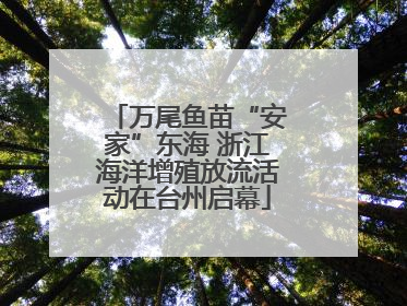 万尾鱼苗“安家”东海 浙江海洋增殖放流活动在台州启幕