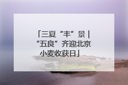 三夏“丰”景｜“五良”齐迎北京小麦收获日