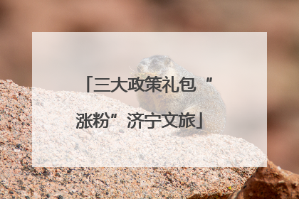 三大政策礼包“涨粉”济宁文旅