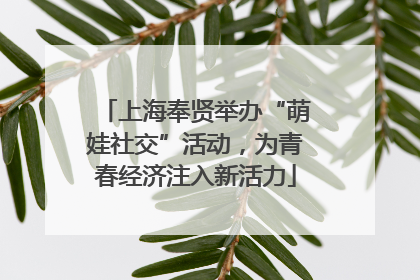 上海奉贤举办“萌娃社交”活动，为青春经济注入新活力