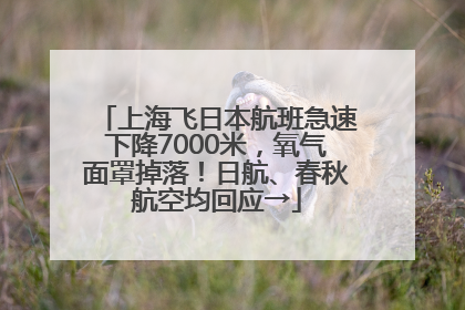 上海飞日本航班急速下降7000米，氧气面罩掉落！日航、春秋航空均回应→