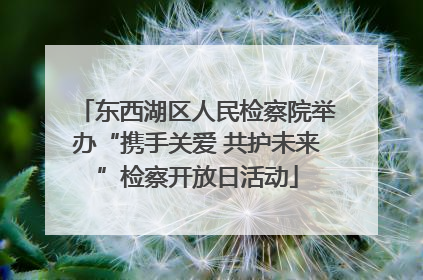 东西湖区人民检察院举办“携手关爱 共护未来”检察开放日活动