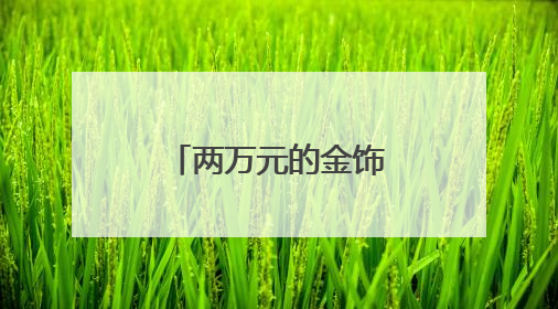 两万元的金饰“不翼而飞”，医护拾金不昧暖人心（图）