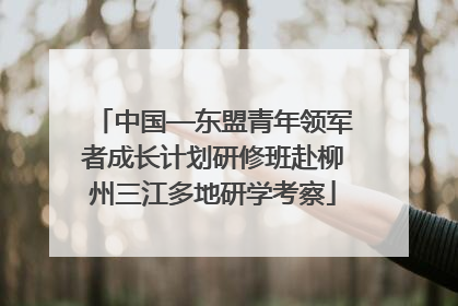 中国—东盟青年领军者成长计划研修班赴柳州三江多地研学考察