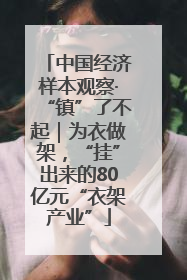 中国经济样本观察·“镇”了不起｜为衣做架，“挂”出来的80亿元“衣架产业”