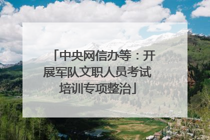 中央网信办等：开展军队文职人员考试培训专项整治