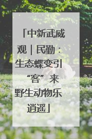 中新武威观｜民勤：生态蝶变引“客”来 野生动物乐逍遥