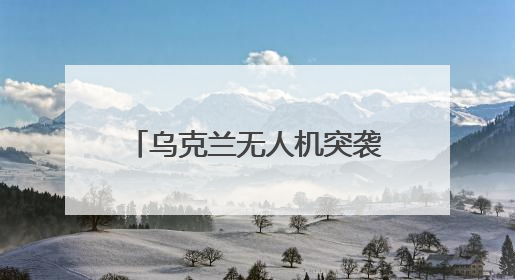 乌克兰无人机突袭俄战机，内应是他？曾在基辅当DJ，去年底开了货运公司