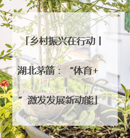 乡村振兴在行动丨湖北茅箭：“体育+”激发发展新动能