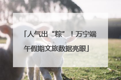 人气出“粽”！万宁端午假期文旅数据亮眼