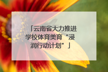 云南省大力推进学校体育美育“浸润行动计划”