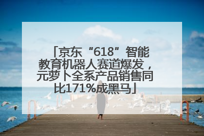 京东“618”智能教育机器人赛道爆发，元萝卜全系产品销售同比171%成黑马