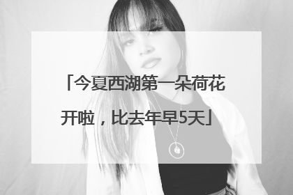 今夏西湖第一朵荷花开啦，比去年早5天