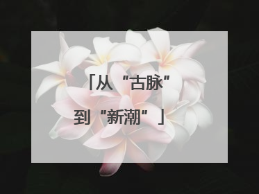 从“古脉”到“新潮”