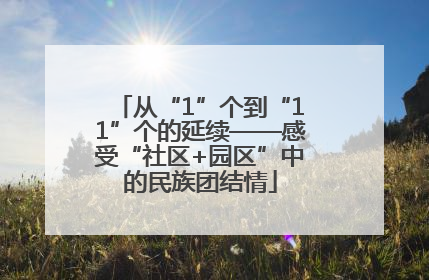 从“1”个到“11”个的延续——感受“社区+园区”中的民族团结情