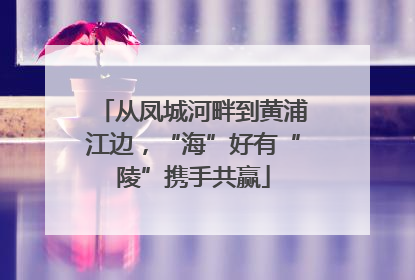 从凤城河畔到黄浦江边，“海”好有“陵”携手共赢
