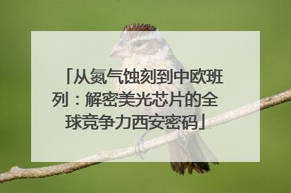 从氮气蚀刻到中欧班列：解密美光芯片的全球竞争力西安密码