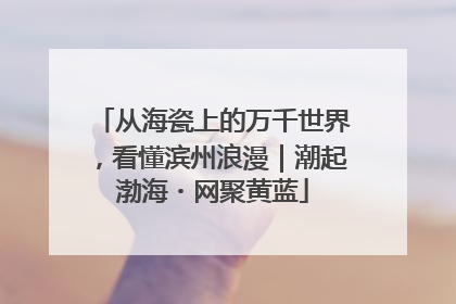 从海瓷上的万千世界，看懂滨州浪漫｜潮起渤海・网聚黄蓝