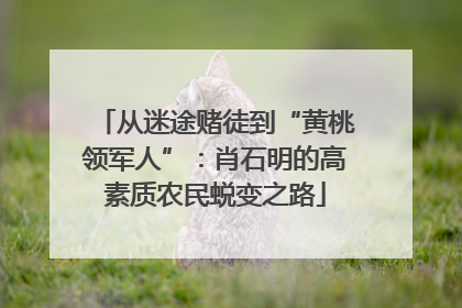 从迷途赌徒到“黄桃领军人”：肖石明的高素质农民蜕变之路