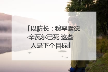 以防长：穆罕默德·辛瓦尔已死 这些人是下个目标