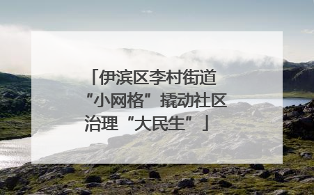 伊滨区李村街道 “小网格”撬动社区治理“大民生”
