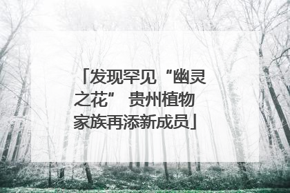 发现罕见“幽灵之花” 贵州植物家族再添新成员