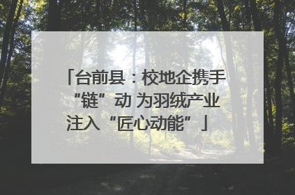 台前县：校地企携手“链”动 为羽绒产业注入“匠心动能”
