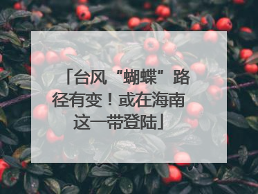 台风“蝴蝶”路径有变！或在海南这一带登陆