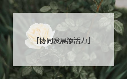 协同发展添活力