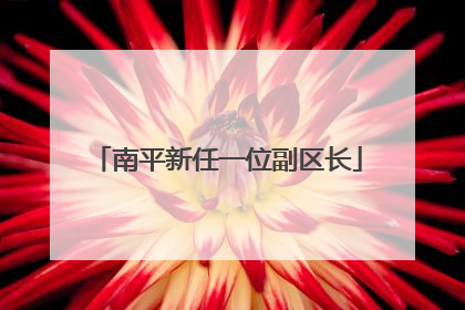 南平新任一位副区长