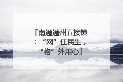 南通通州五接镇：“网”住民生，“格”外用心