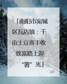 南阳市宛城区瓦店镇：千亩土豆喜丰收 致富路上迎“薯”光