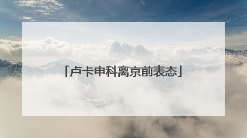 卢卡申科离京前表态