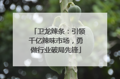 卫龙辣条：引领千亿辣味市场，勇做行业破局先锋