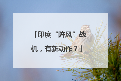 印度“阵风”战机，有新动作？