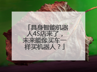 具身智能机器人4S店来了，未来能像买车一样买机器人？