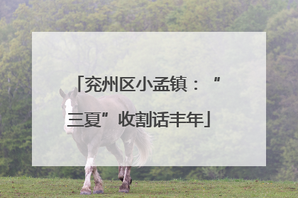 兖州区小孟镇：“三夏”收割话丰年