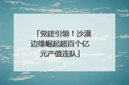 党建引领！沙漠边缘崛起超百个亿元产值连队